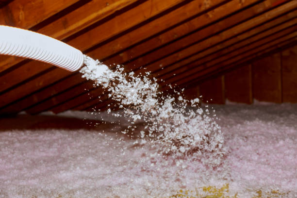 Best Commercial Insulation in Denton, MD
