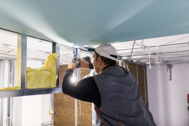 Best Residential Insulation in Denton, MD