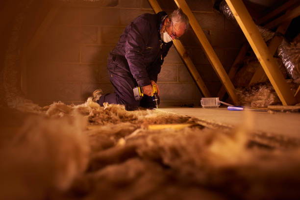Types of Insulation We Offer in Denton, MD